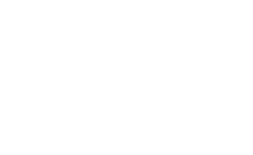 Fast & Feel Love