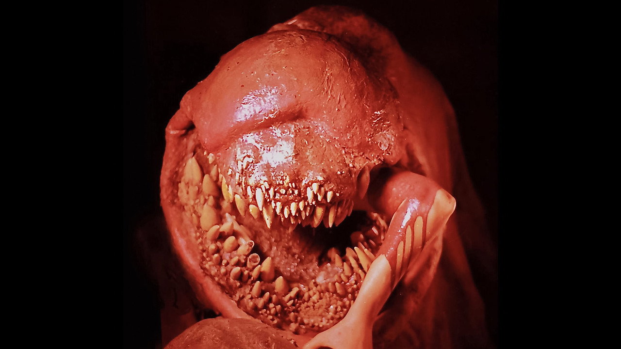 The Deadly Spawn (1983) wallpaper #5 — 1920×1080 Full HD backdrop — When a meteorite touches down in the New Jersey woods carrying a monstrous alien slug,… — free HD background for desktop, MacBook, mobile & iPhone (ref fAPtVEReSECdd3bjAYe51QJdLT9)
