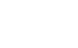 Rebel Without a Cause