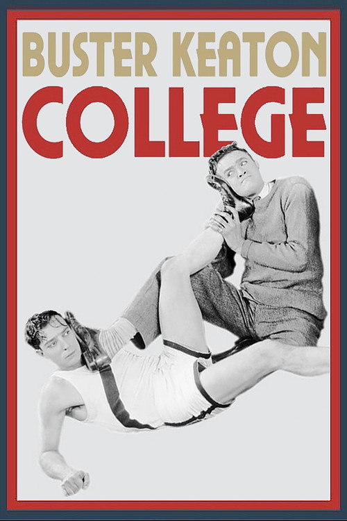 College vertical backdrop 6